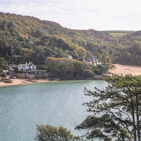 2 Poundstone Court Villa Salcombe Dış mekan fotoğraf
